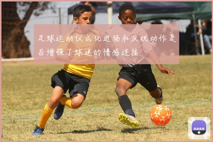 足球运动仪式化进场和庆祝动作是否增强了球迷的情感连接