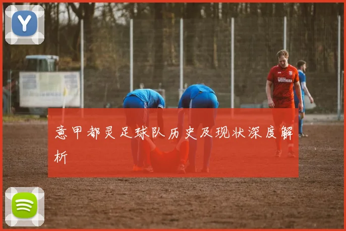 意甲都灵足球队历史及现状深度解析