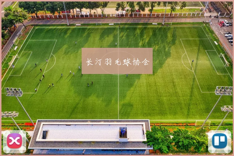 长汀羽毛球协会