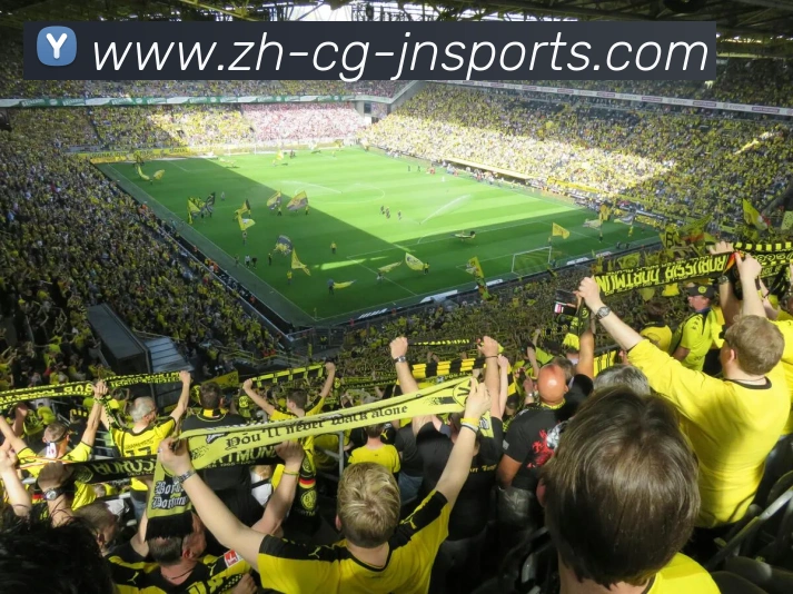 江南体育平台生态图